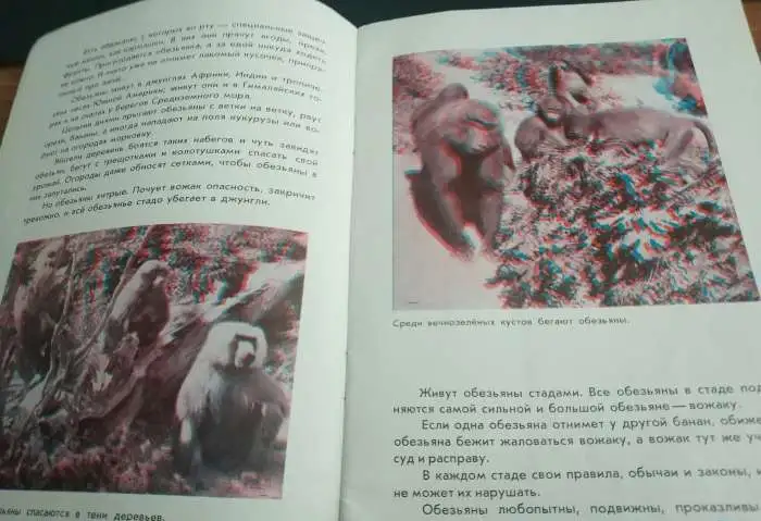 1964  Объёмные изображения  Смотреть через спец очки В гостях у обезьян Автор Снегирев Гуревич Объёмные фотографии, фотография 4