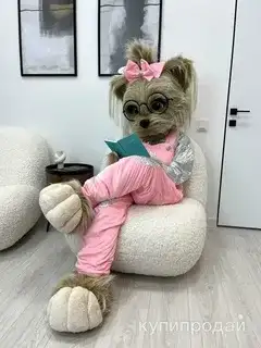 Собачка-Фиона Поздравление, фотография 4