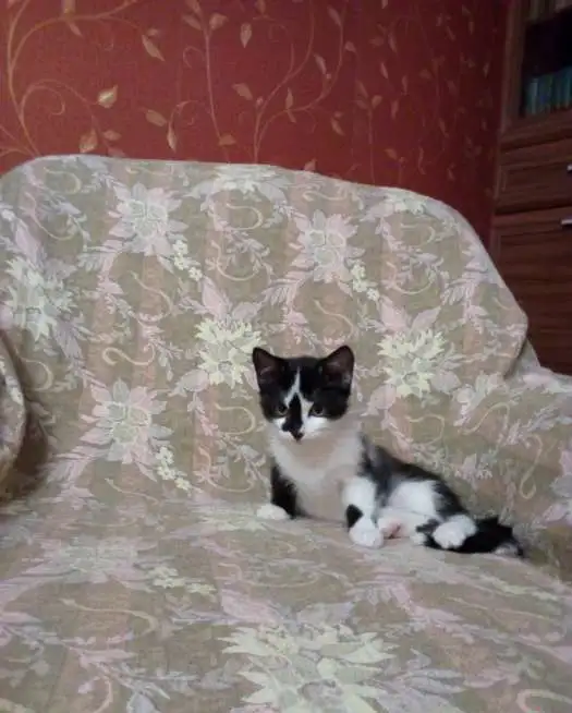 Малыш, фотография 2