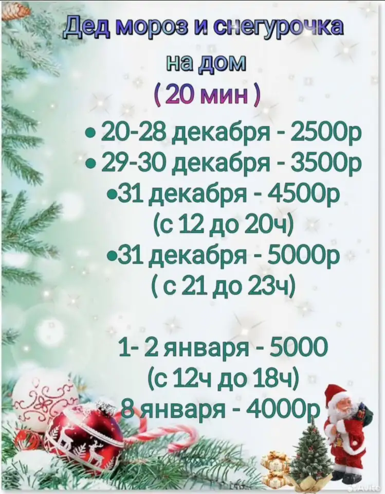 Дедушка мороз и снегурочка на дом, фотография 3