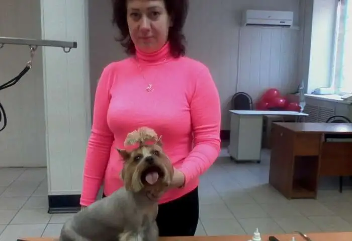 Стрижка собак и кошек, фотография 1