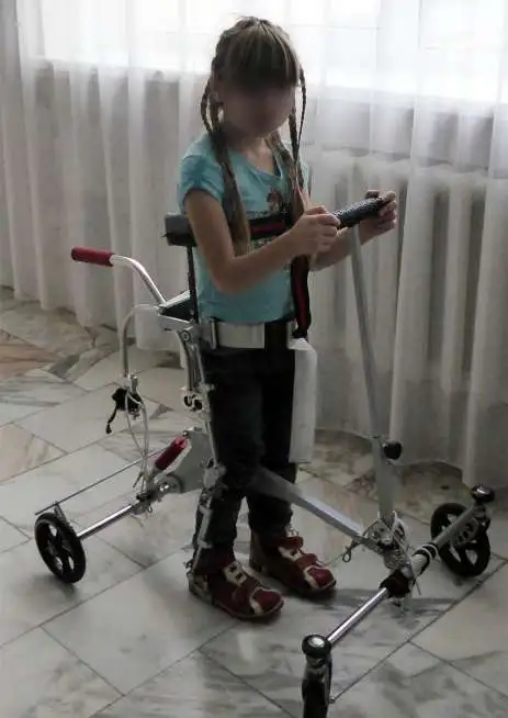 Параподиум для ходьбы Ходим 2, фотография 2