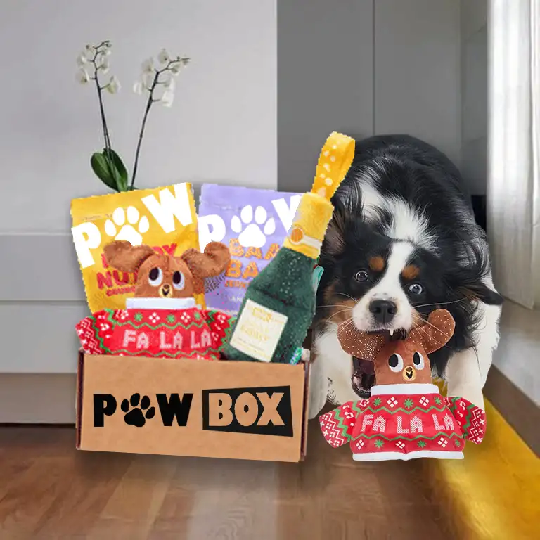Сюрприз для вашего пса  PawBox, фотография 1