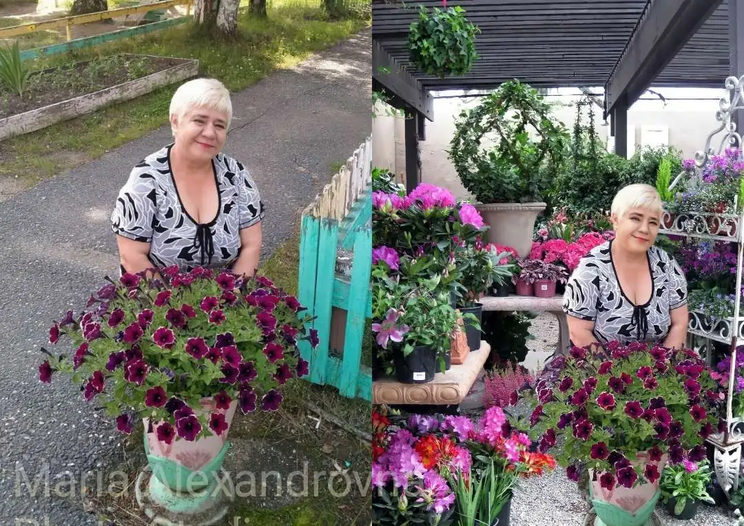 Фотоателье, фотография 1