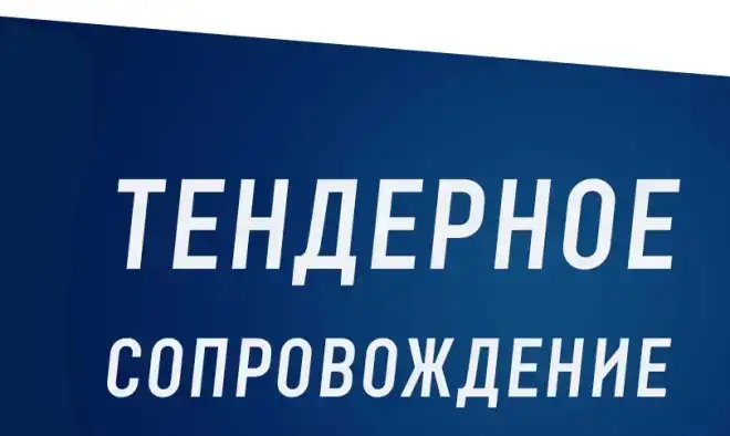 Тендерное удалённое сопровождение, фотография 1
