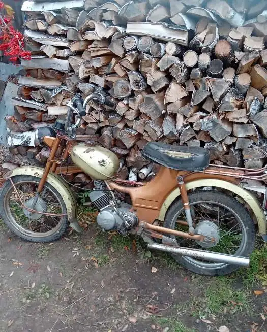 Машинки для шишки кедровой, фотография 2