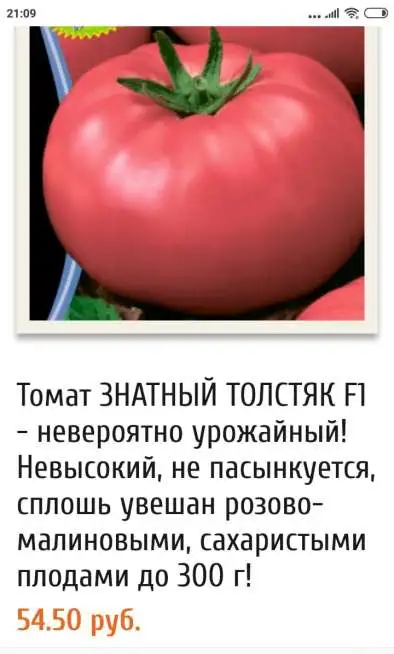 Семена, фотография 11