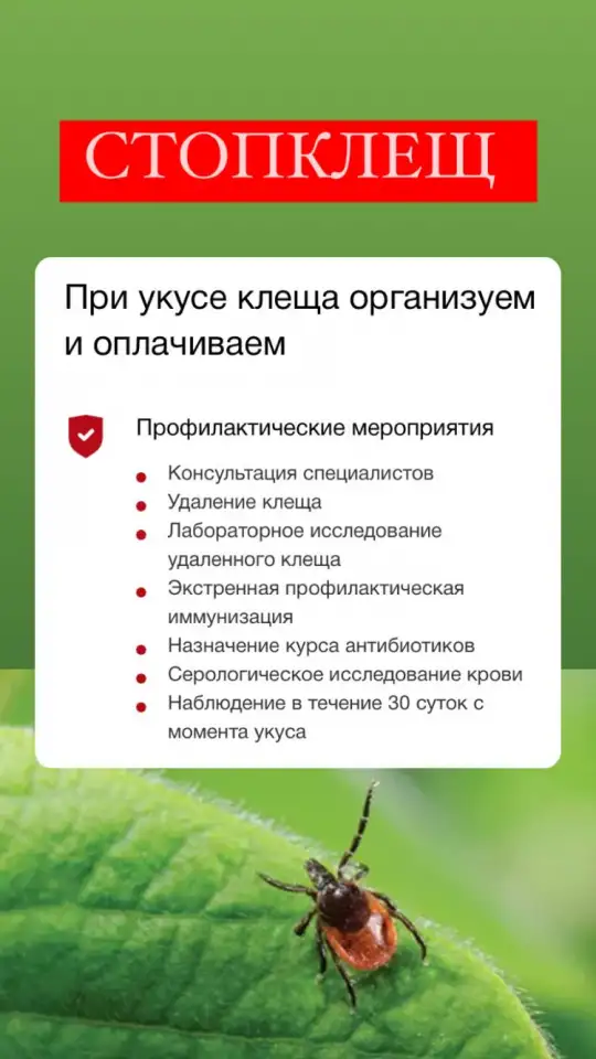 Добровольное медицинское страхование по программе Стоп.Клещ, фотография 1