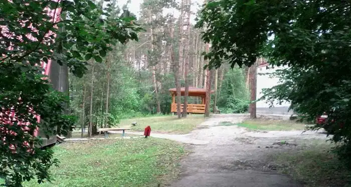 строительство бань, домов, беседок, фотография 1