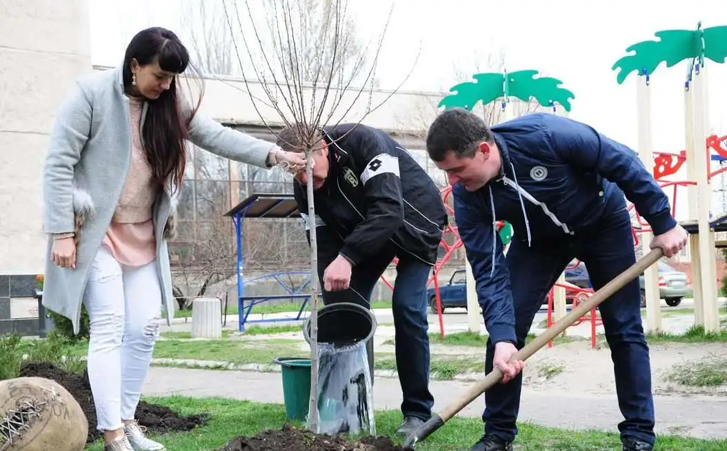 Уборка территории, спил, вывоз, фотография 1