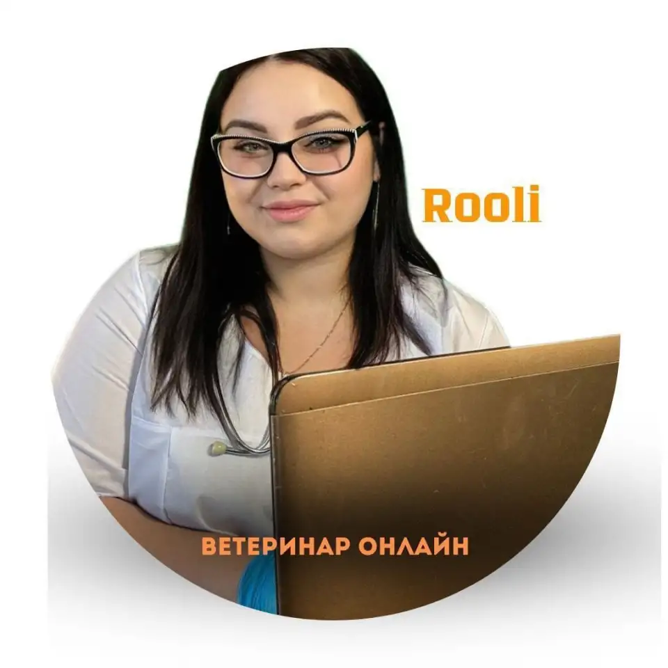 Консультация ветеринара онлайн, фотография 1