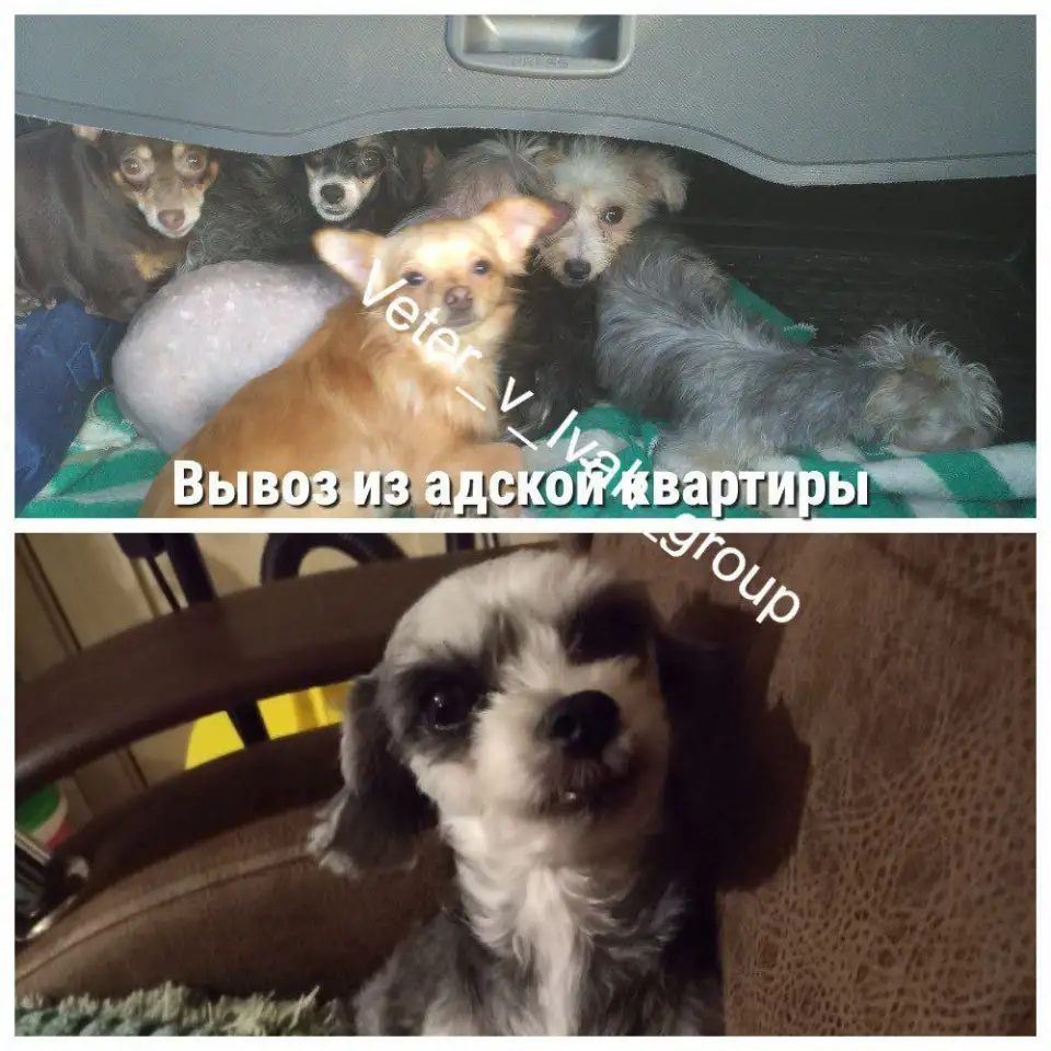 Пожалуйста, помогите выжить, фотография 3