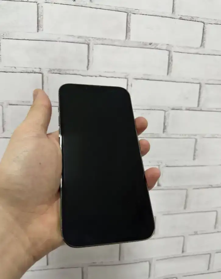 IPhone 13 Pro Max 128 Gb Graphite Neverlock, фотография 3