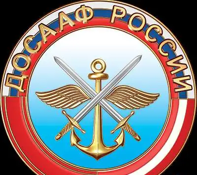 Пользователь программного продукта 1С, фотография 1
