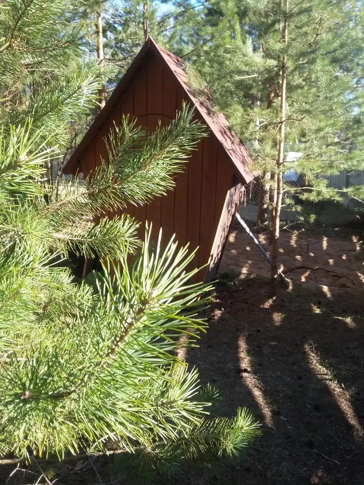 Сдам дачу в деревне Раковичи, Лужский район, Ленинградская область, фотография 9