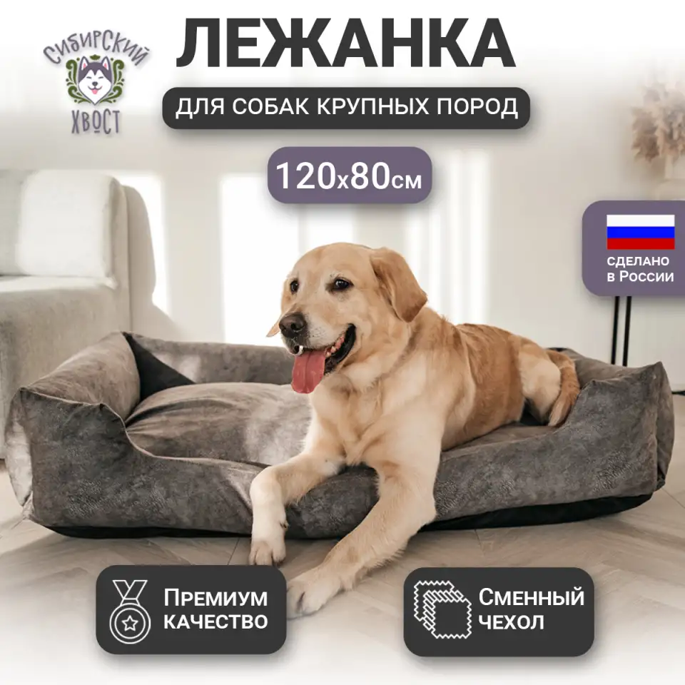 Лежанка собак, фотография 1
