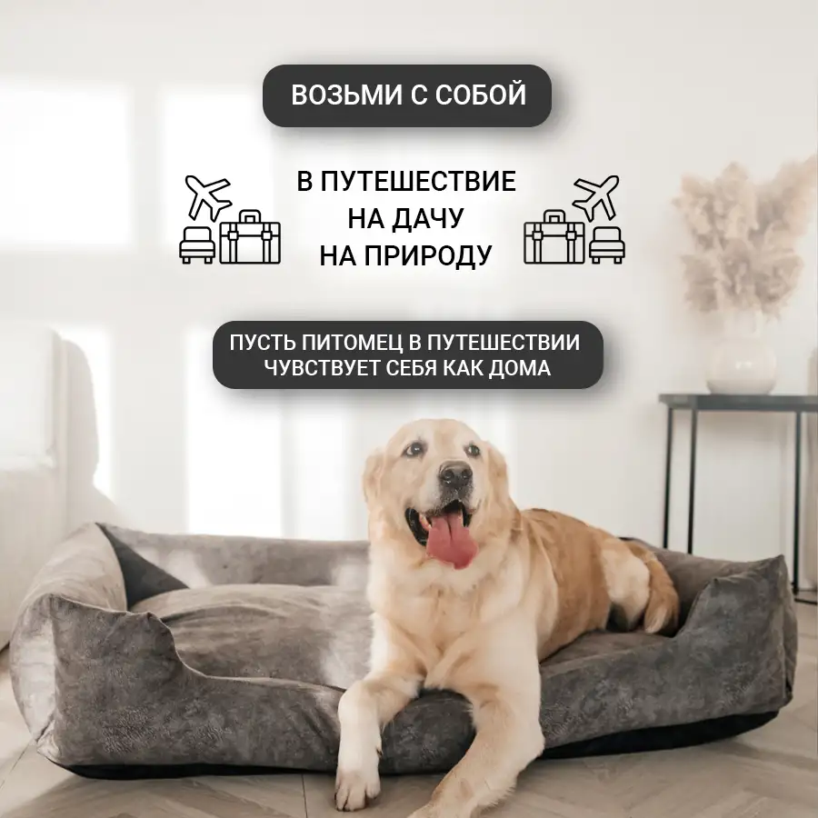 Лежанка собак С заботой о ваших питомцах!, фотография 6