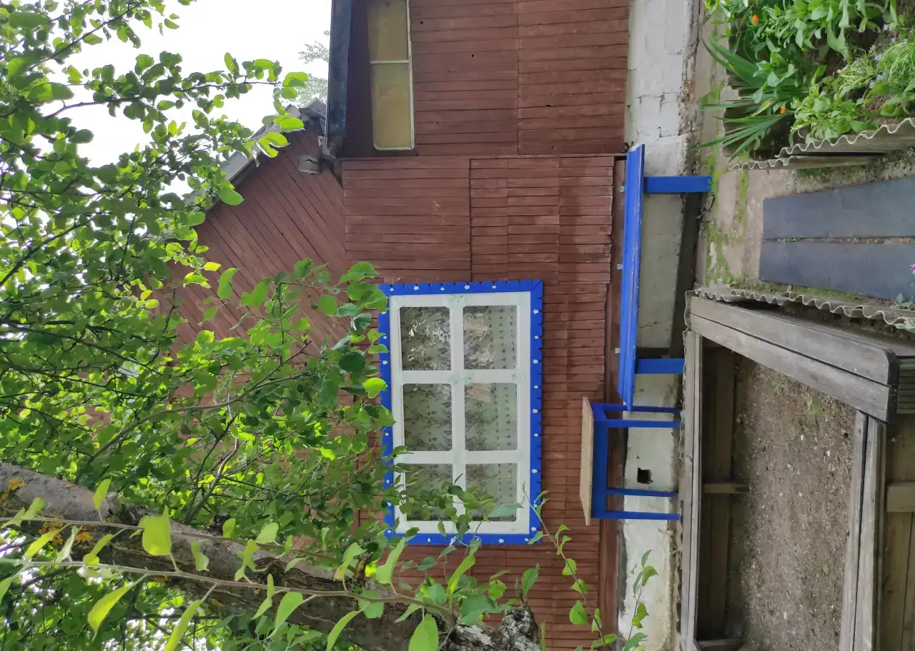 СНТ 