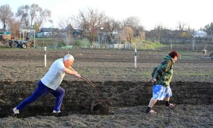 Вспашка культивация земли, фотография 3
