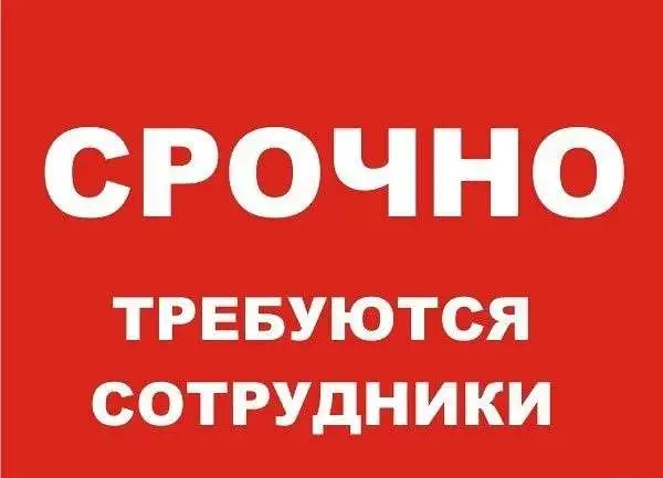 Кассир с еженедельной оплатой, фотография 1