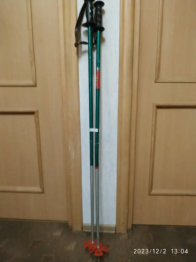 Горные лыжи FISCHER Pro Tec SC4, фотография 8