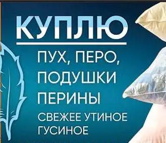 Куплю пух перо б/у подушки перины., фотография 2