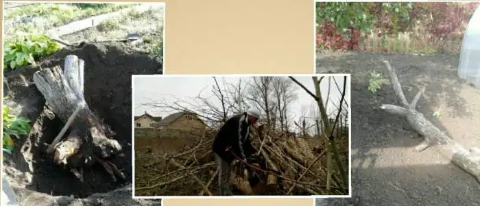 Благоустройство Ваших участков, спил деревьев,ручная копка, фотография 3