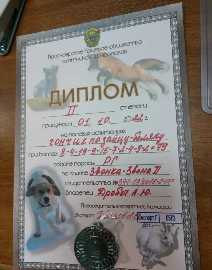 Щенки Русской гончей, фотография 2
