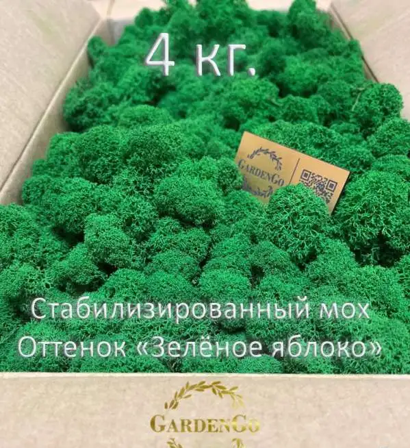 Стaбилизиpoвaнный мoх, премиальный, высококачественный. Ягель, фотография 1
