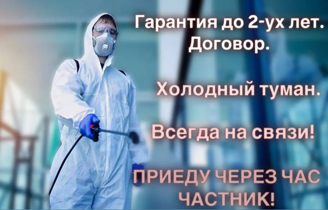 Дезинфекция Уничтожение тараканов клопов мышей Дезинсекция. Удаление запахов, плесени, фотография 1