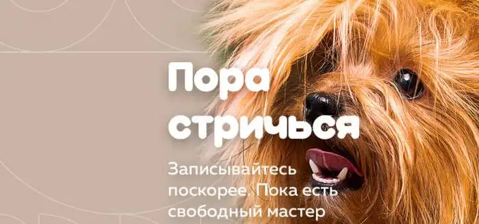 ГрумЛюкс работает с моделями., фотография 2