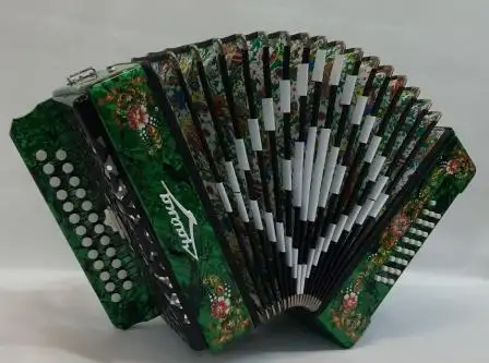 Баянист, гармонист. Юбилей, мероприятие,  .ярко,весело, фотография 1