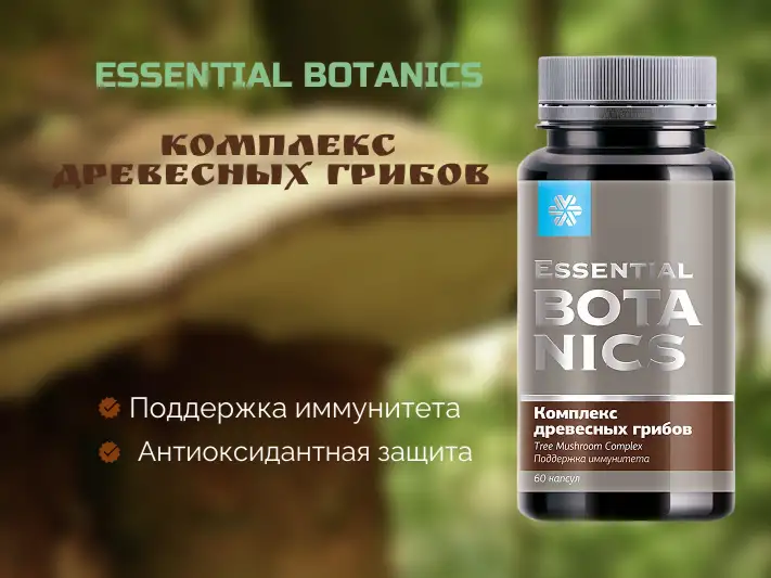 Комплекс древесных грибов Essential Botanics, фотография 1