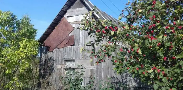 Срочно продам участок, фотография 9